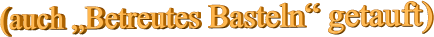 (auch „Betreutes Basteln“ getauft)
